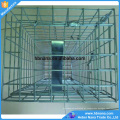 60x18x20cm galvanizado Gaiola recolhível Humane Animal Trap para vendas